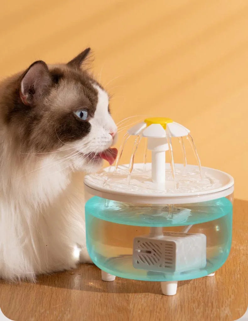 Bebedero para Gatos