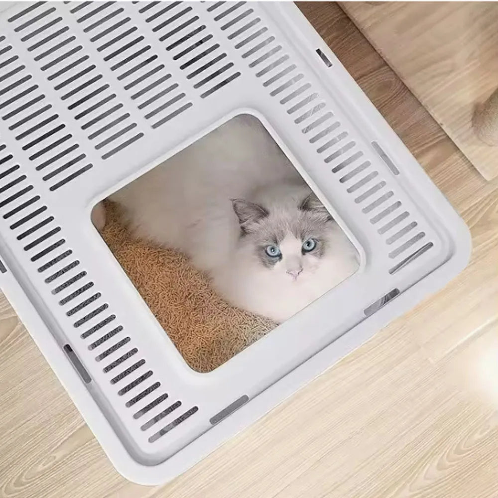 Arenero Para Gatos