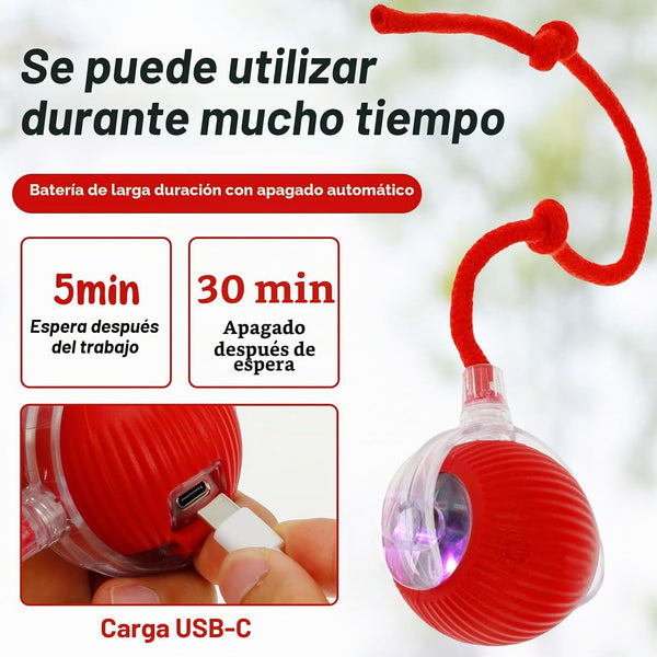 Pelota Mágica para Mascotas