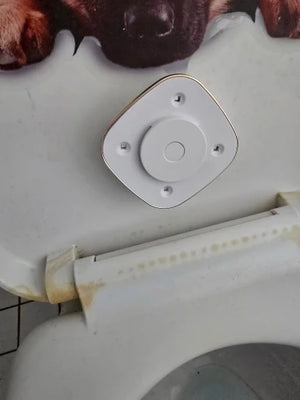 A6dc8408b04444c0e83e837c41d05538eM.jpg