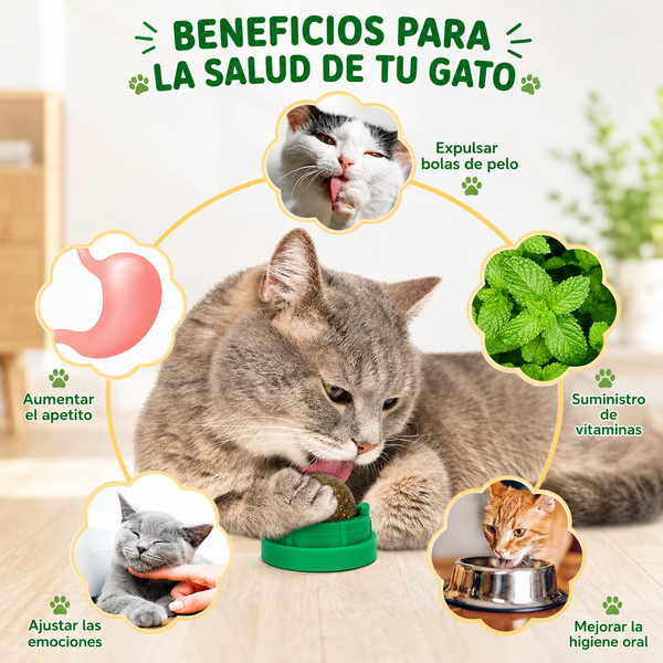Bolas de Hierba Gatera Divertidas