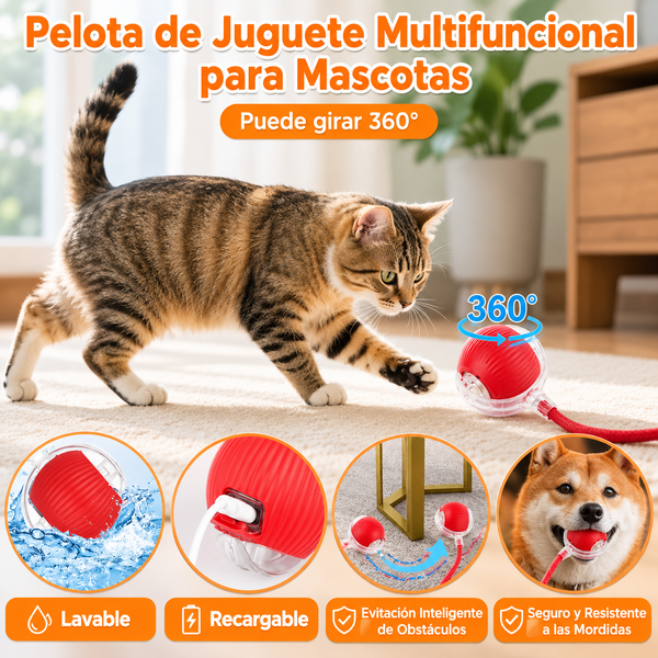 Pelota Mágica para Mascotas