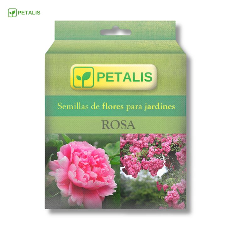 Kit de Semillas para Jardín Colorido