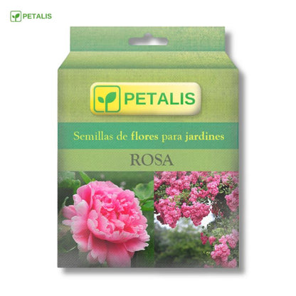Kit de Semillas para Jardín Colorido